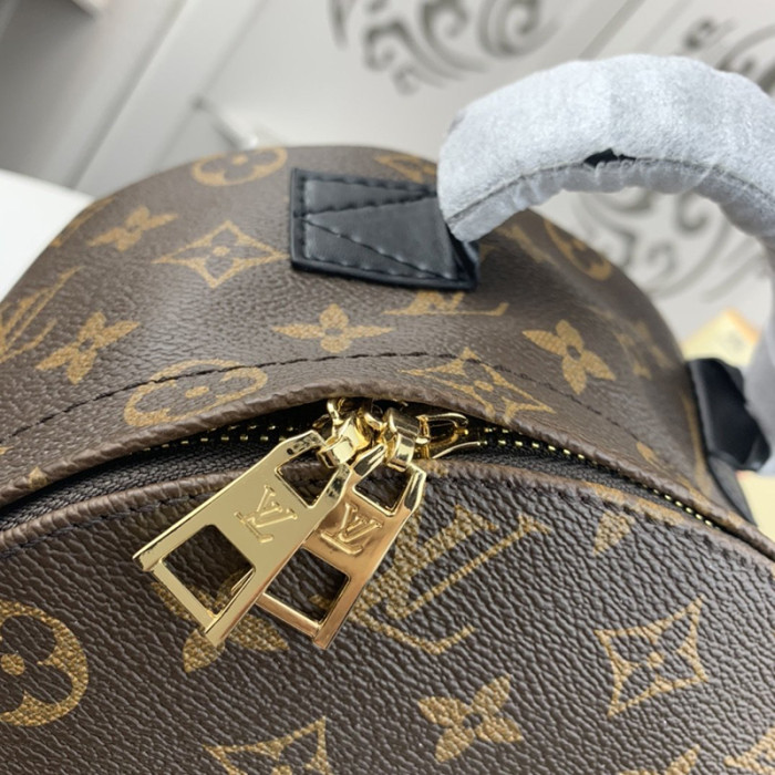 Louis Vuitton Womens Bag Backpacks