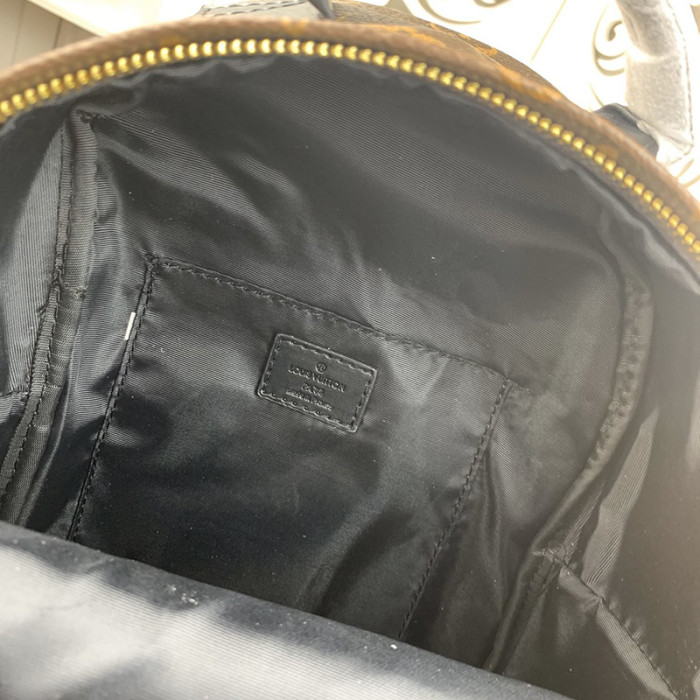 Louis Vuitton Womens Bag Backpacks