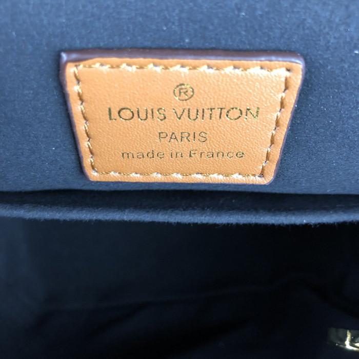 Louis Vuitton Womens Bag Backpacks