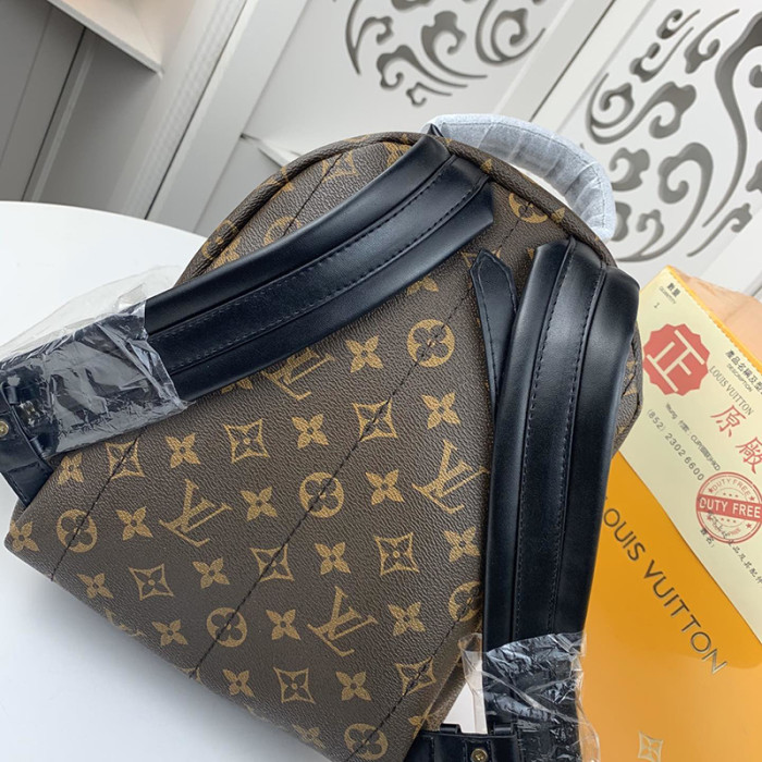 Louis Vuitton Womens Bag Backpacks