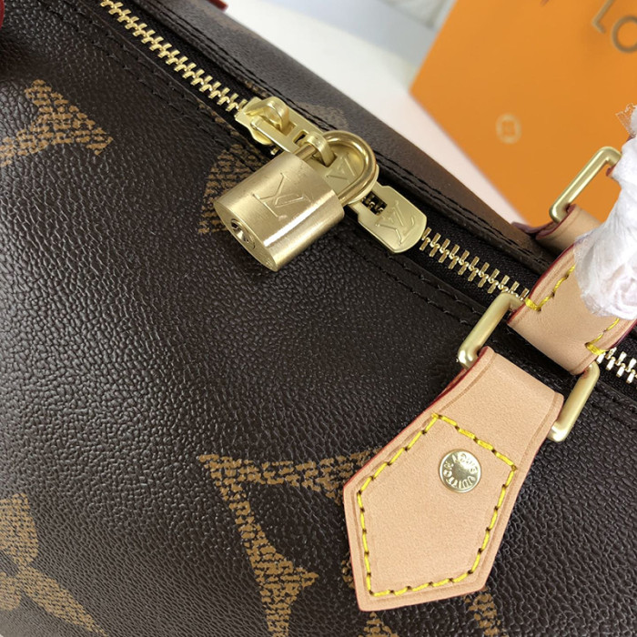 Louis Vuitton Womens Bag Crossbody Bag