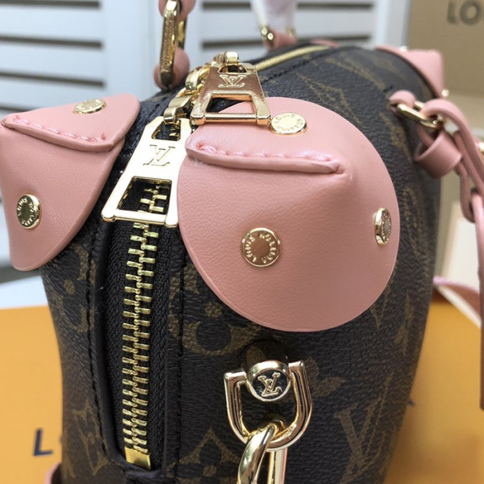 Louis Vuitton Womens Bag Crossbody Bag