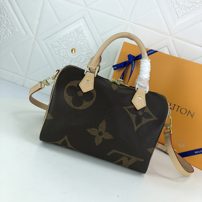 Louis Vuitton Womens Bag Crossbody Bag
