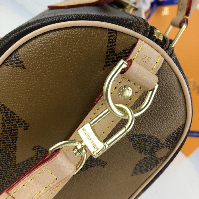 Louis Vuitton Womens Bag Crossbody Bag