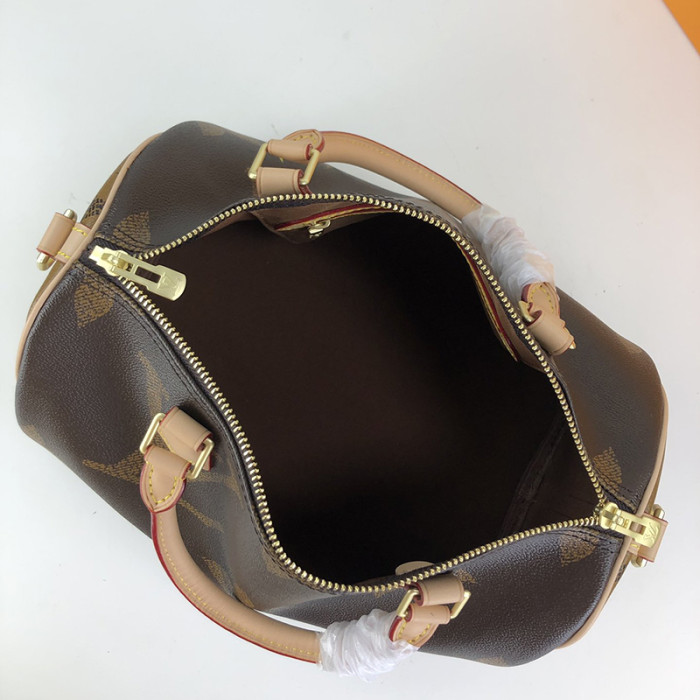 Louis Vuitton Womens Bag Crossbody Bag