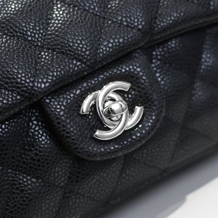 Chanel Womens Bags Chanel Flap Bag