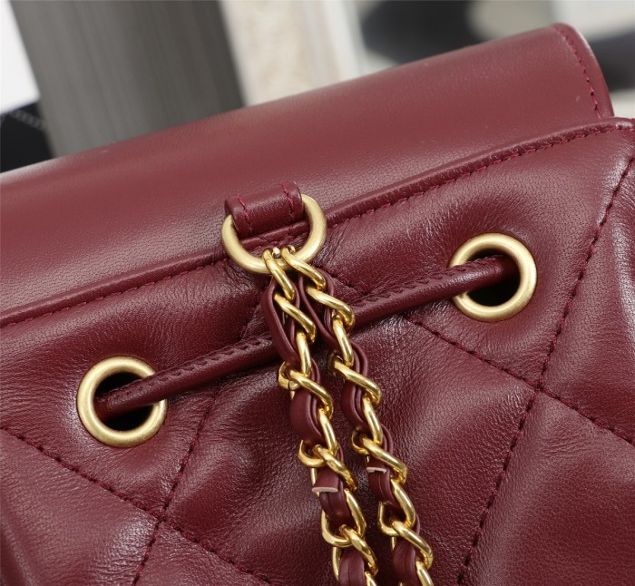 Chanel Womens Bags Drawstring Backpack