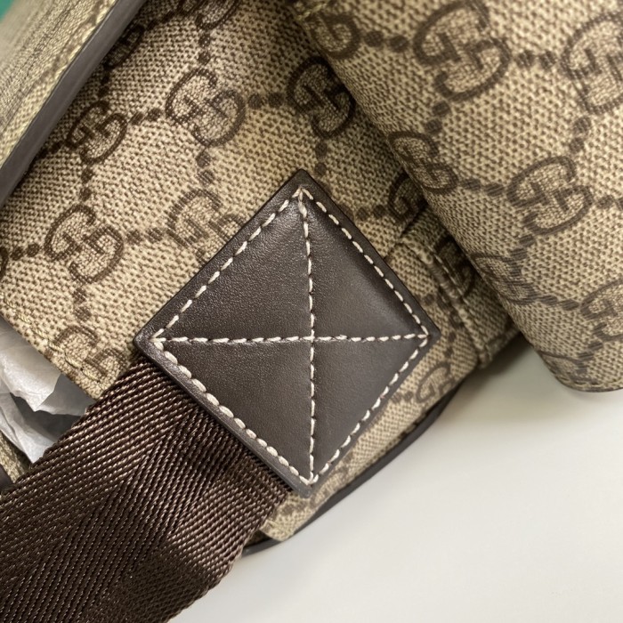 Gucci Womens Bags GG plus diaper bag Luxury Brand Bag with Original Box 211131 KGDIG 8588