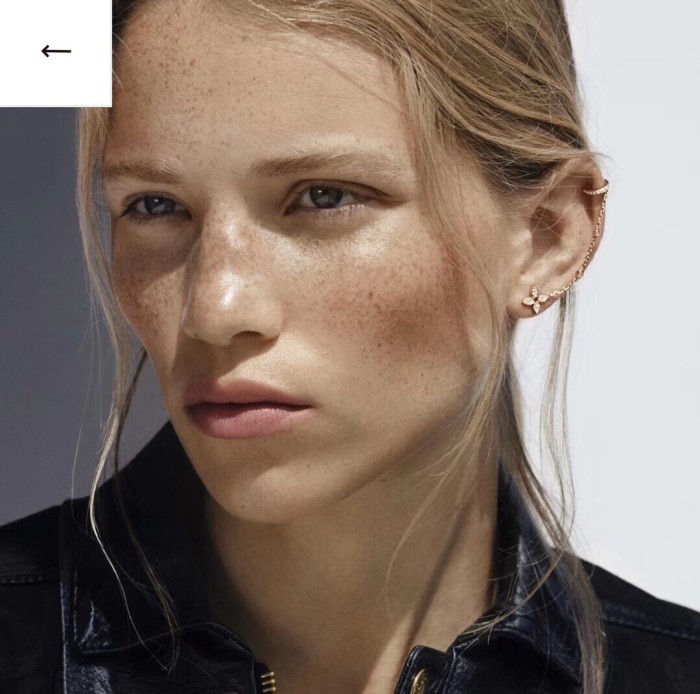 Louis Vuitton Luxury Womens Earrings