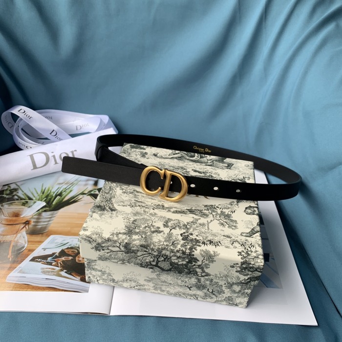 Dior Womens Belt Luxury Brand Design Fashion Type with Original Box