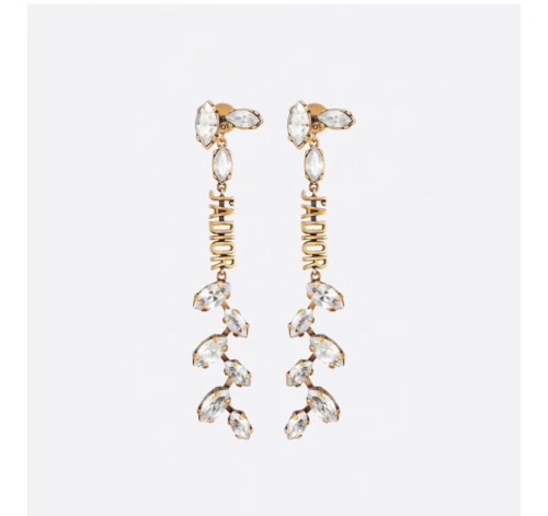 Dior Luxury Womens Earrings