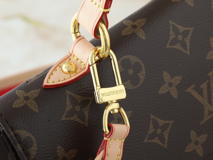 Louis Vuitton Womens Bags Shoulder Bag Luxury Brand Cluny BB M46055 with Original Box whatsapp 【+1-3239614486】