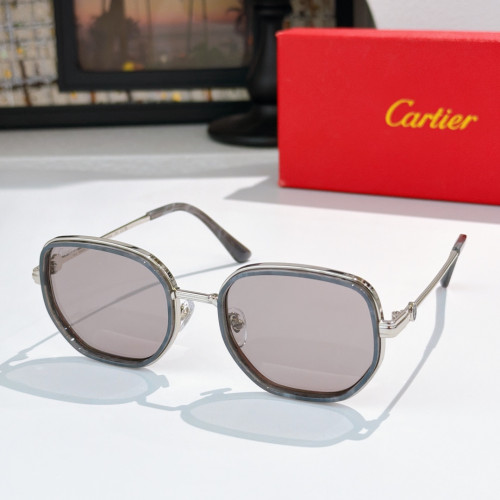 Cartier Sunglasses Luxury Brand Womens Sunglasses with Original Box Whatsapp 【+1-3239614486】CT0806S