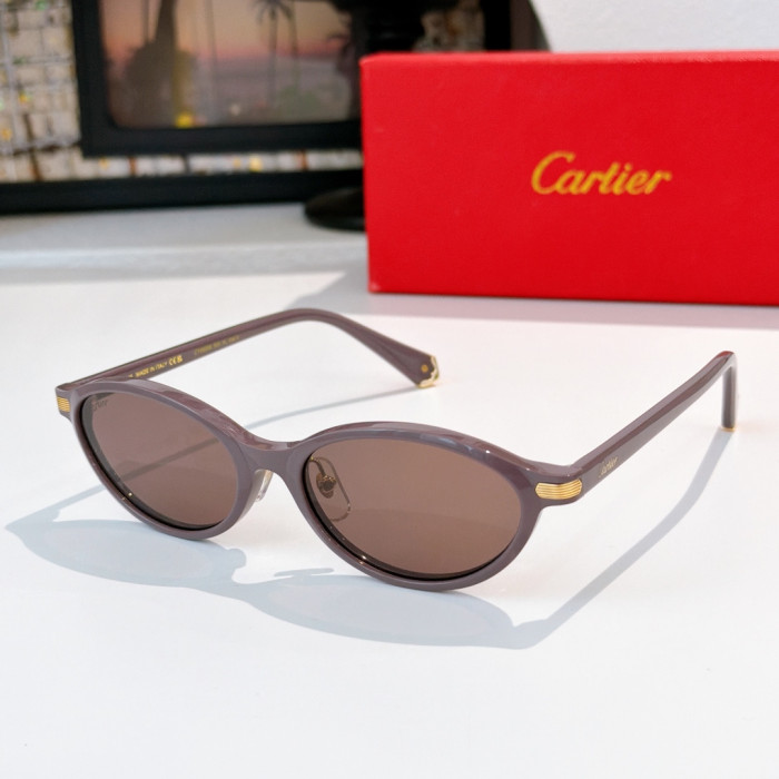 Cartier Sunglasses Luxury Brand Men Womens Sunglasses with Original Box Whatsapp 【+1-3239614486】CT0920S
