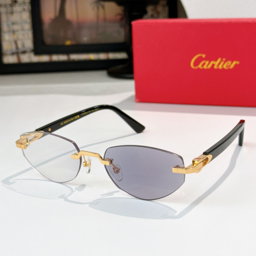 Cartier Sunglasses Luxury Brand Womens Sunglasses with Original Box Whatsapp 【+1-3239614486】CT0580S