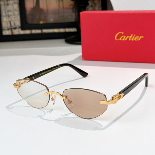 Cartier Sunglasses Luxury Brand Womens Sunglasses with Original Box Whatsapp 【+1-3239614486】CT0580S