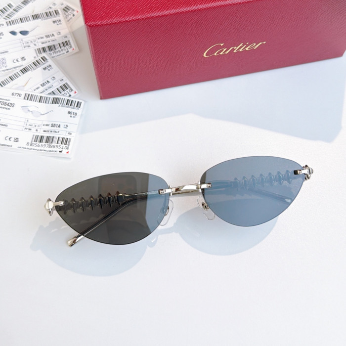 Cartier Sunglasses Luxury Brand Womens Sunglasses with Original Box Whatsapp 【+1-3239614486】CT0543