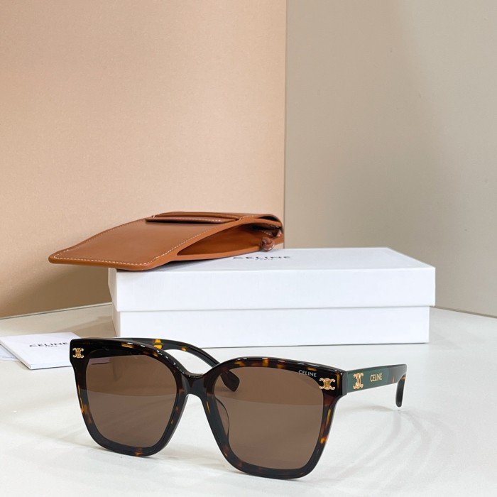 Celine Sunglasses Luxury Brand Womens Sunglasses with Original Box Whatsapp 【+1-3239614486】CL42121U