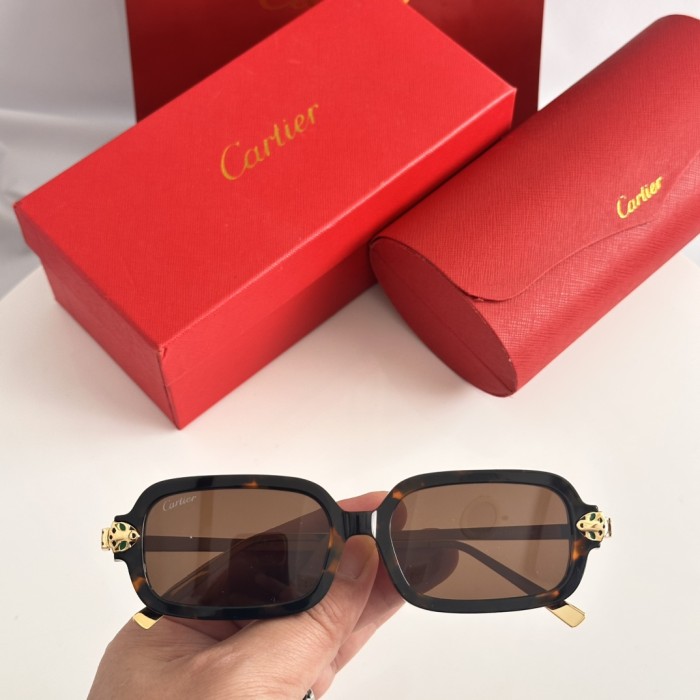 Cartier Sunglasses Luxury Brand Womens Sunglasses with Original Box Whatsapp 【+1-3239614486】CT0711SA