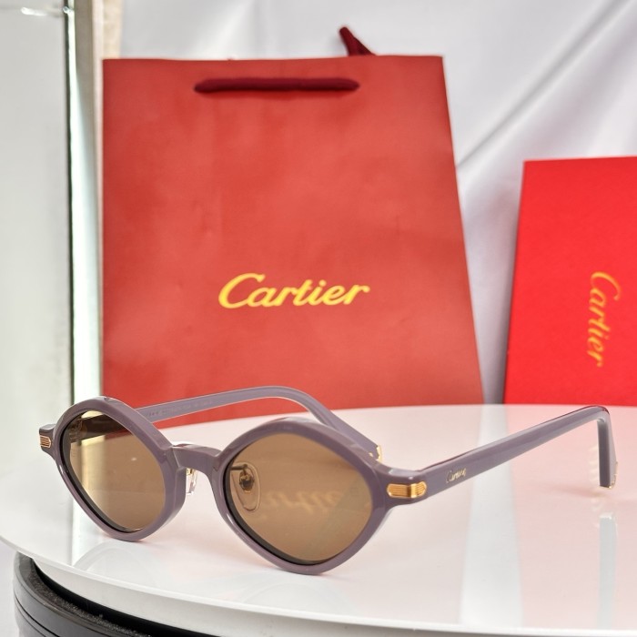 Cartier Sunglasses Luxury Brand Womens Sunglasses with Original Box Whatsapp 【+1-3239614486】 CT0540S