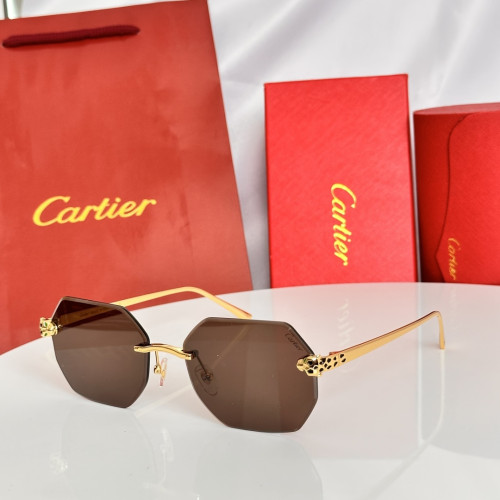 Cartier Sunglasses Luxury Brand Womens Sunglasses with Original Box Whatsapp 【+1-3239614486】CT0493S