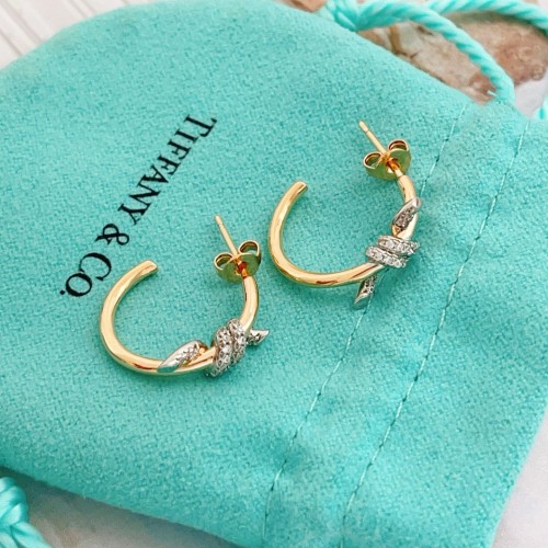 Tiffany Co Luxury Womens Earring with Original Box Whatsapp 【+1-3239614486】TE036