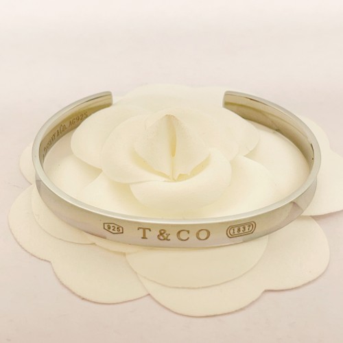 Tiffany Co Luxury Brand Womens Bracelet​ with Original Box Whatsapp 【+1-3239614486】TZ035