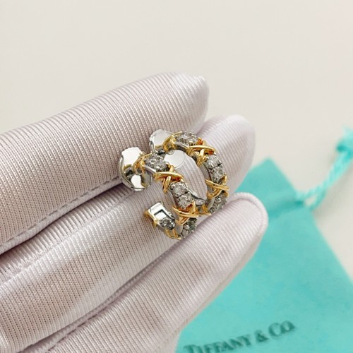 Tiffany Co Luxury Brand Womens Earring with Original Box Whatsapp 【+1-3239614486】TE046