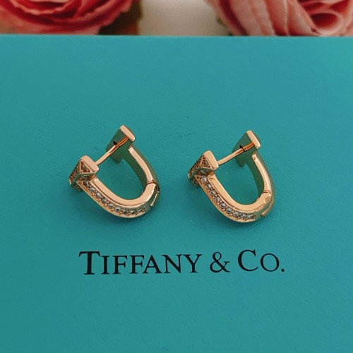 Tiffany Co Luxury Brand Womens Earring with Original Box Whatsapp 【+1-3239614486】TE086