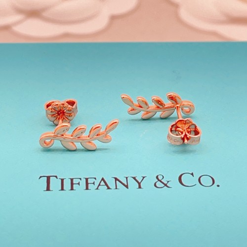 Tiffany Co Luxury Brand Womens Earring with Original Box Whatsapp 【+1-3239614486】TE077