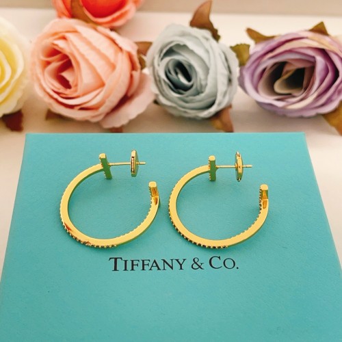 Tiffany Co Luxury Brand Womens Earring with Original Box Whatsapp 【+1-3239614486】TE083