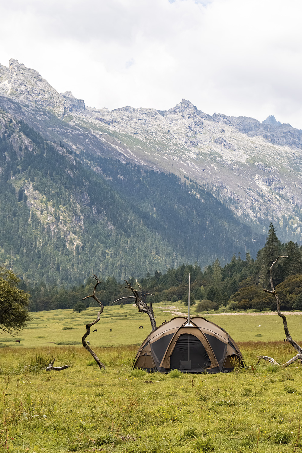POMOLY Dome Tent | Dome X6 Pro Camping Round Tent 4-6 Person POMOLY Dome Tent | Dome X6 Pro Camping Round Tent 4-6 Person
