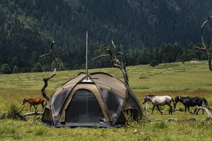 Best 10 4 Man Tent with Porch for Sale