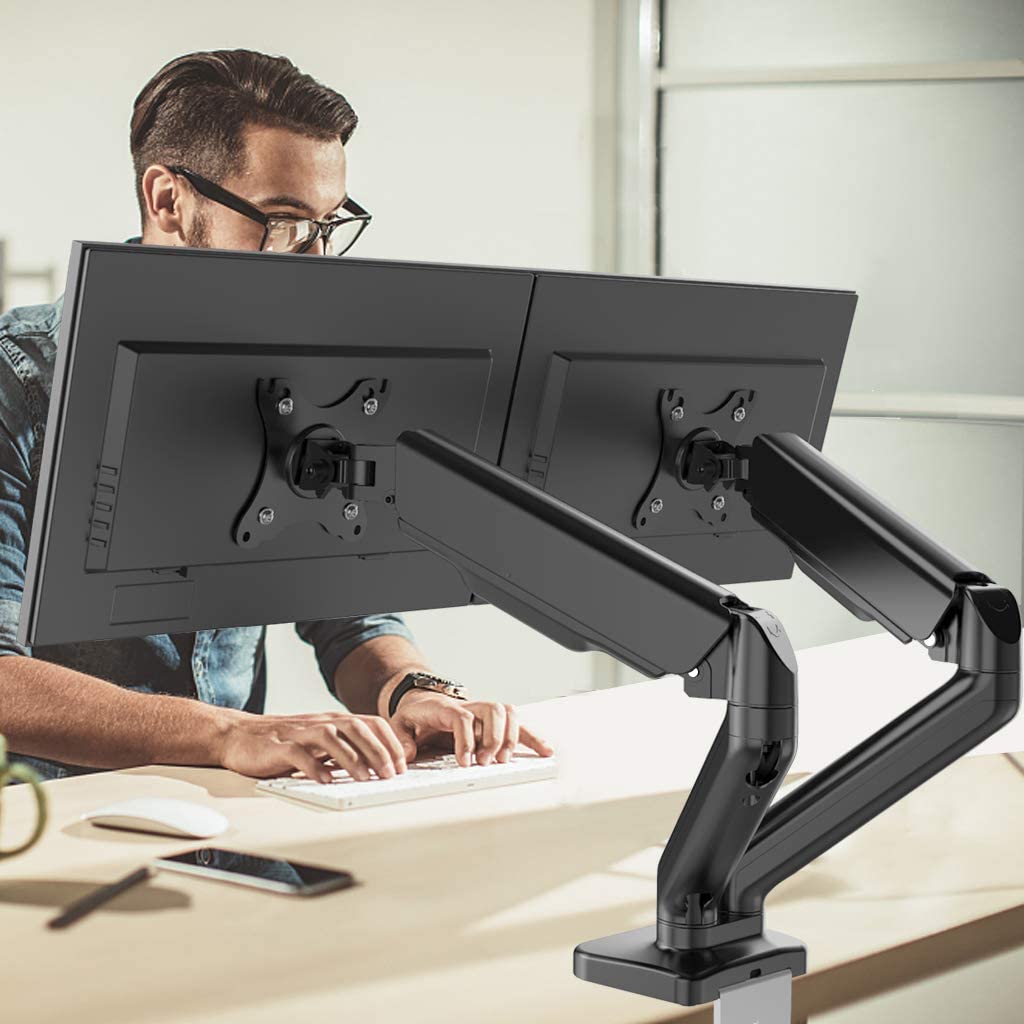 dual mounted monitors