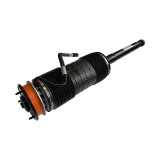 Mercedes Benz S-Class W221 S600 Hyd Shock Absorber rear right A2213200413, A2213206413, A2213208813, A2213209013
