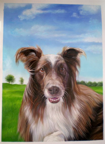 Custom pet portrait, Hand painted oil painting on canvas, Pet painting, Turn photos into oil portraits paintings