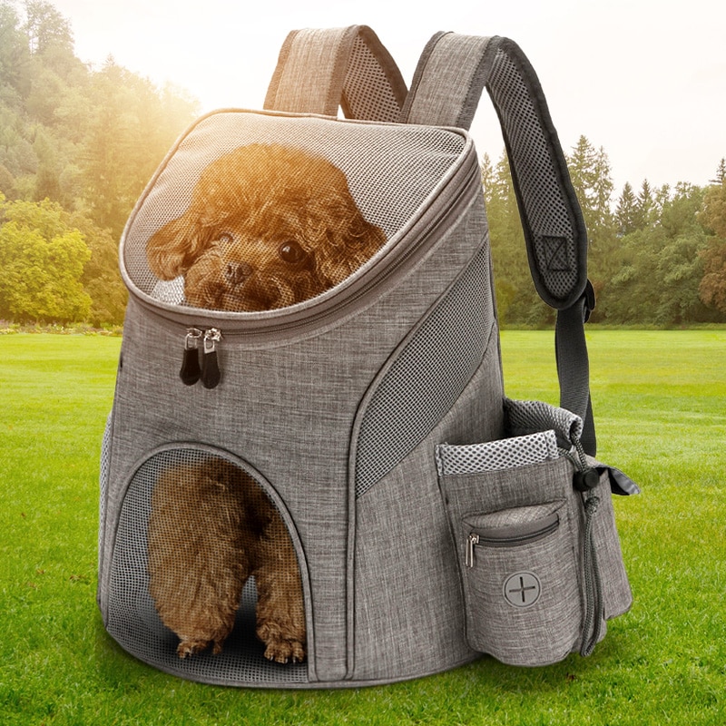 small animal carrying case