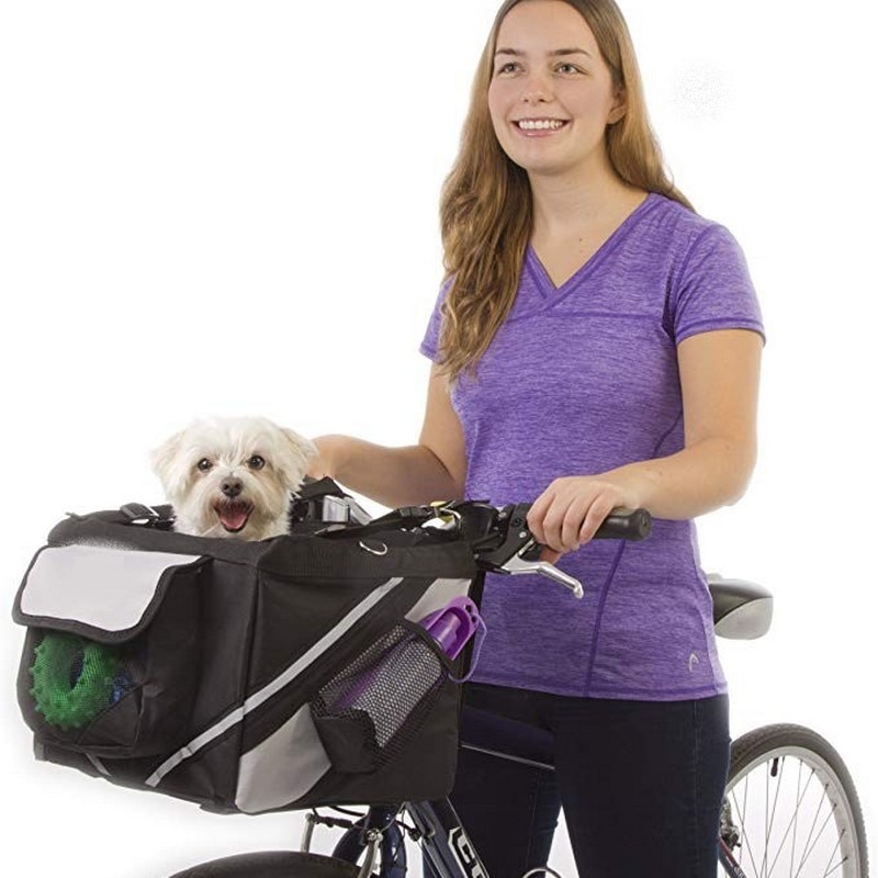 dog seat for bike