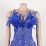 Blue Off Shoulder Feather Neck Diamonds Mesh Women Party Dress