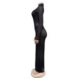 Black Mesh Grid Long Sleeve See Through Bodycon Long Dress