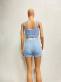 SkyBlue Sleeveless Casual Knitted Two Piece Sweaters Suit