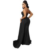 Black One Shoulder Sleeveless Pleated Party Elegant Maxi Prom Dress
