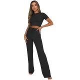 Black Short Sleeve O Neck Crop Tops Two Pieces Long Pant Sets Dress