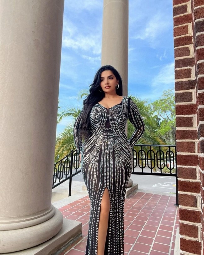 Black Long Sleeve Low Cut Stretch Rhinestone Evening Maxi Formal Dress