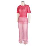 Pink Sexy Knitted Tassel Beach Summer Short Sleeve Long Dress