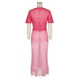 Pink Sexy Knitted Tassel Beach Summer Short Sleeve Long Dress