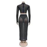 Mesh Sexy Rhinestones Crop Top Pleated See Through Midi Skirt Sets Dress