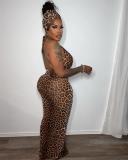 Leopard Deep V Neck Sexy Party Stretch Pleated Printed Long Dress