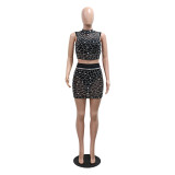 Black Sleeveless Mesh Rhinestone Crop Top Two Pieces Sexy Club Mini Dress