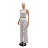 White Lace-up Short Top Loose Slim Trousers Mesh See-Through Two-Piece Suit